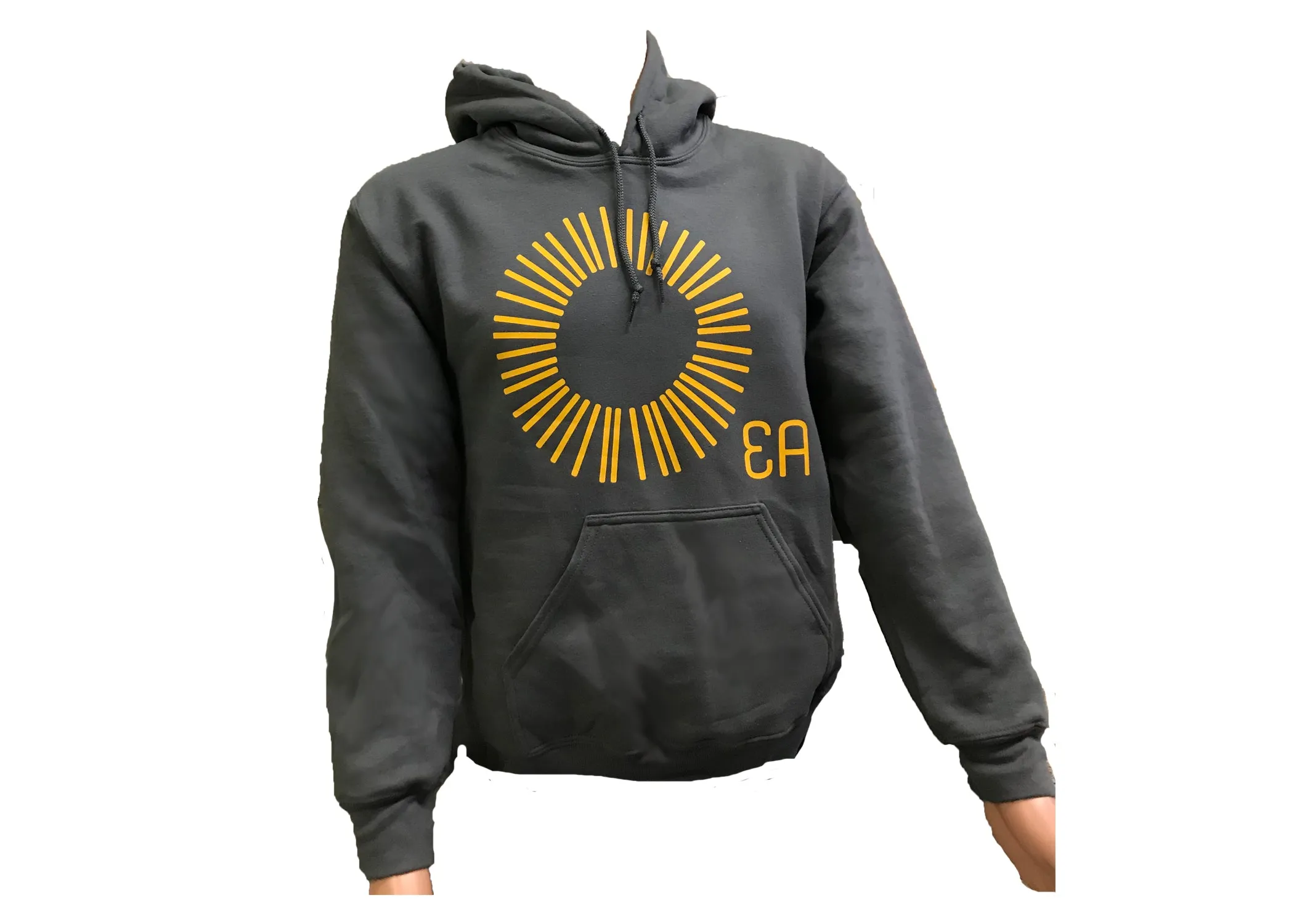 Education Alternatives Sun Hoodie