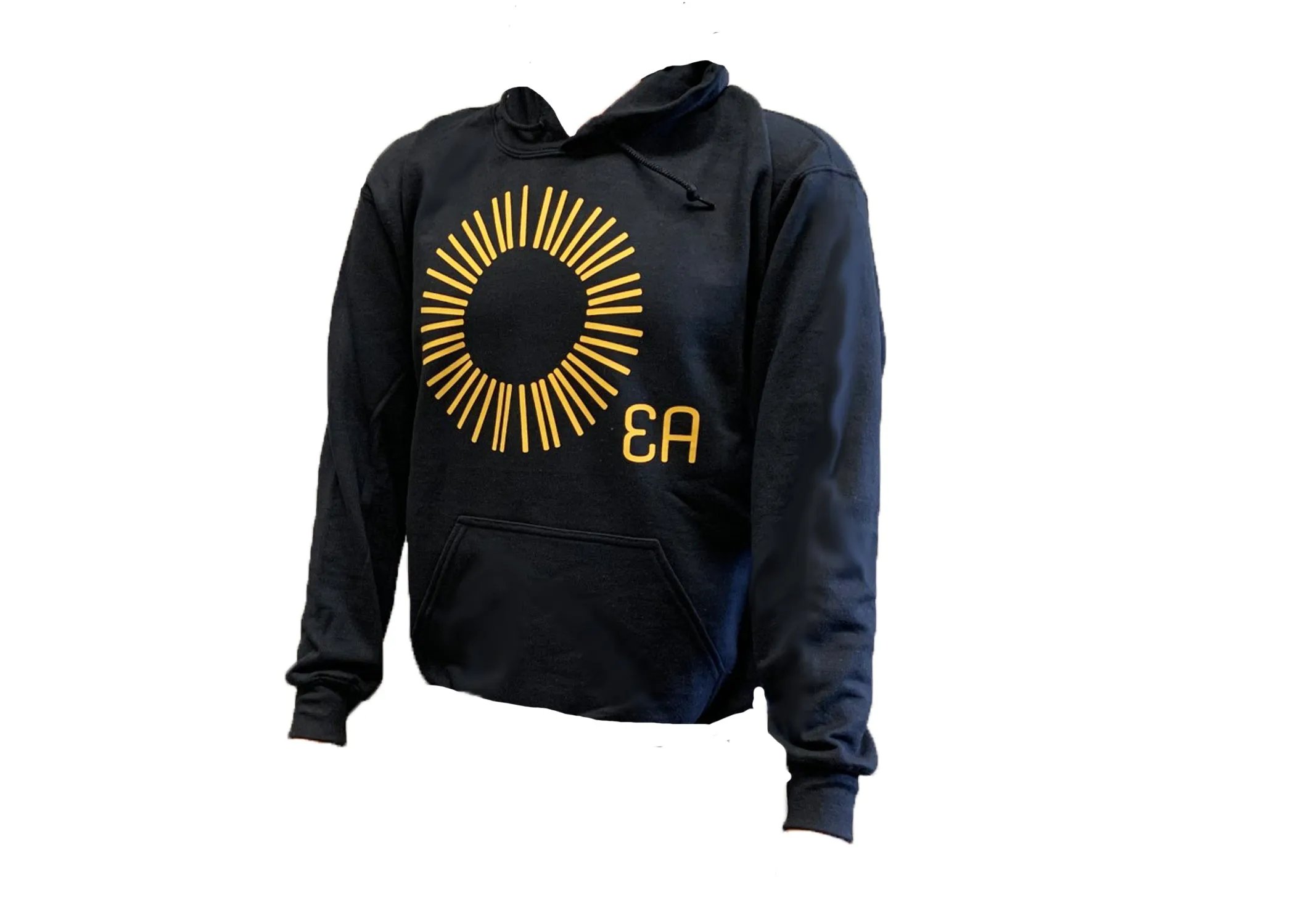 Education Alternatives Sun Hoodie